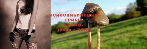 метадон Беломорск