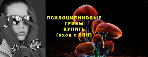 марки lsd Белокуриха