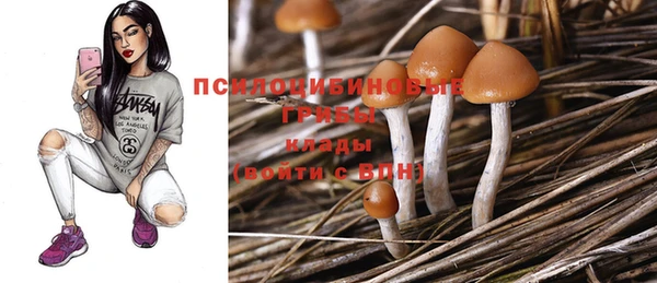 марки lsd Белокуриха
